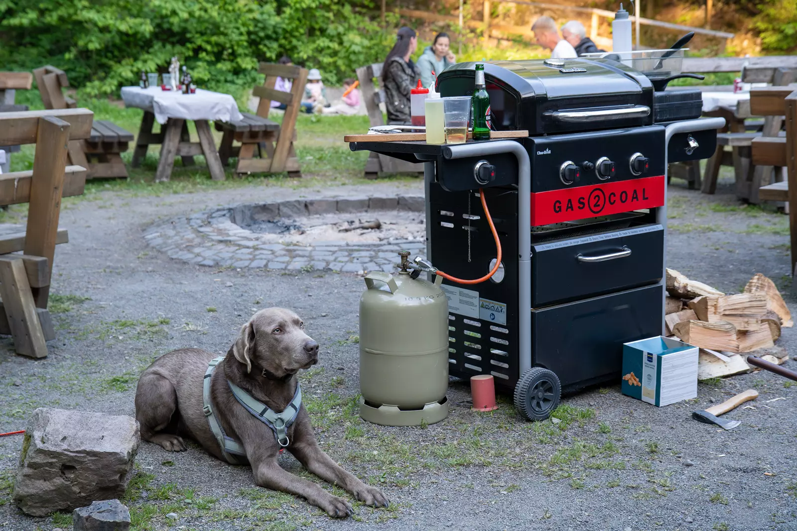 DSC09976-Enhanced-NR #Vibe